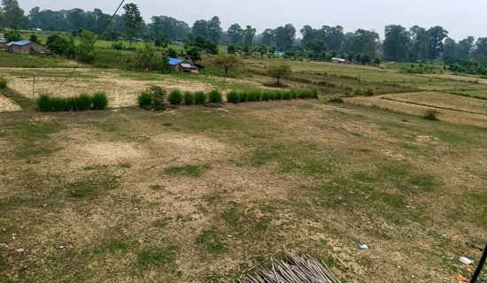 पलाँताको बेरुजु ३० करोड बढी, पेस्की मात्रै ८५ लाख