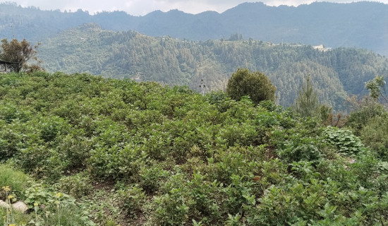 यु–२३ फुटबल टोलीको घोषणा