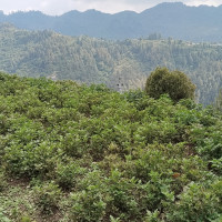 रामराज्य माविलाई महत परिवारद्वारा दुई लाख ११ हजार सहयोग