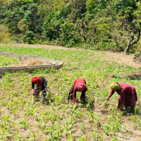 अपाङ्गता भएका व्यक्तिका लागि स्वास्थ्य शिविर