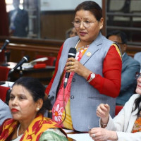 नेपालमा हान्टा भाइरसको जोखिम अत्यन्त न्यून