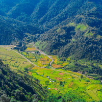 सञ्चालन भएनन् आधारभूत अस्पताल