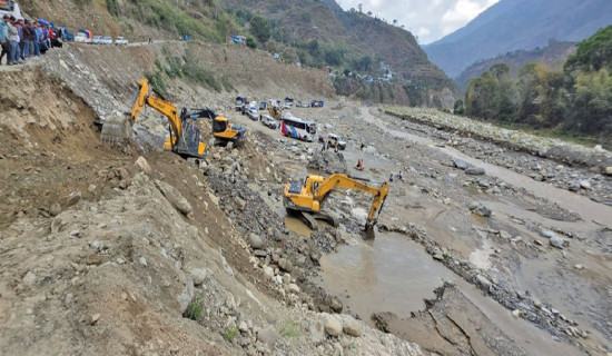 महानगरका २२ हजार सामुदायिक कुकुर ‘डिस्टेम्पर’ रोगको जोखिममा