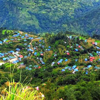 सत्तापक्षको पदाधिकारी तोक्न सहकार्य आवश्यक