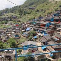 कुहिन थाले असी करोड मूल्यबराबरका काठ