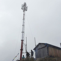 जलवायु परिवर्तनको प्रभावले यार्सागुम्बा उत्पादन घट्दै