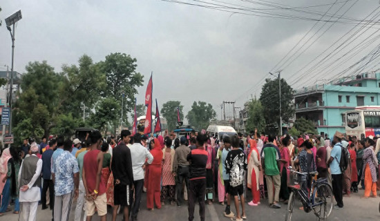 जलवायु परिवर्तनको प्रभावले यार्सागुम्बा उत्पादन घट्दै