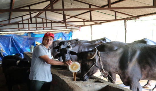 राष्ट्रपतिले उद्घाटन गरेको ढुङ्गेधाराको कन्तबिजोग