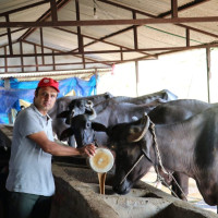 जमिनको बदलामा जमिन दिन माग