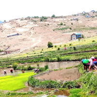 युवालाई उद्यममा जोड्ने कर्णालीको योजना