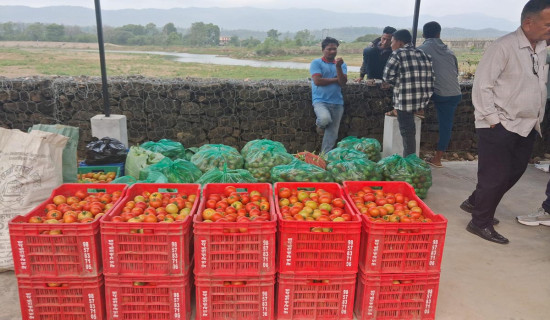 बबई नदी तटमा कृषि हाटबजार सञ्चालन