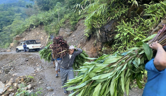 संसद् भवनको निर्माण कार्य छिटो सम्पन्न गर्न निर्देशन