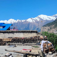 ओमान तटमा भारतीय जहाजमा आक्रमण, भारतद्वारा निन्दा, चालक दल सुरक्षित