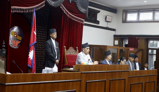 सरकार विधिसम्मत चल्नुपर्छ : सभापति थापा