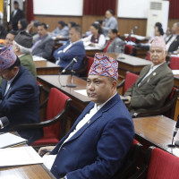 राहदानीको समस्या समाधान गर्न सफ्टवेयर कम्पनीले पठायो विशेषज्ञ टोली