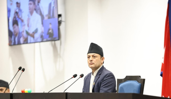 प्रतिनिधिसभा बैठक (प्रत्यक्ष प्रसारण)