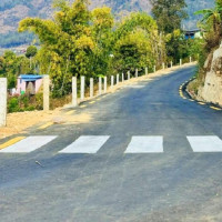 विदेशबाट फर्किएर फूलखेती