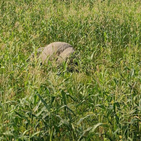 कार्यालय स्थापना भयो, सेवा प्रवाह सुरु भएन