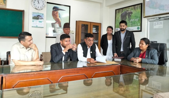 अनलाइनमार्फत जीवनसाथी खोज्न ‘लमी’