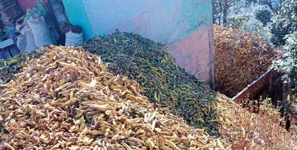 जडीबुटी छ, प्रशोधन केन्द्र छैन