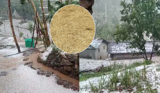 स्थानीय तहसँग सहकार्य गर्दै महिला समूह
