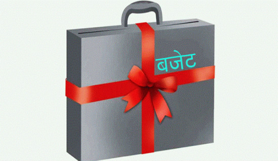 दश महिनामा ६० प्रतिशत बजेट खर्च, विकास खर्च २८ प्रतिशत मात्र