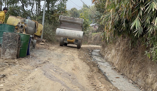 उपराष्ट्रपति यादवसँग इजरायली राजदूतको शिष्टाचार भेटवार्ता