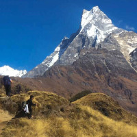 शैक्षिक परामर्श केन्द्रका ६९ जना सञ्चालक नियन्त्रणमा
