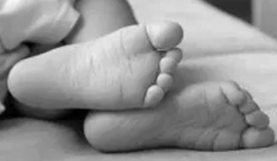 इँटा भट्टामा पुरिएर तीन मजदुरको मृत्यु