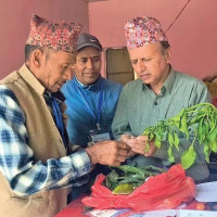 आयोगको सिफारिस अनुसार नै निर्वाचन मिति तोकिने
