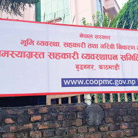 चार वर्षमा ३३२ जनाको ज्यान गयो