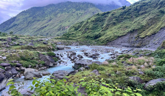 दस महिनामा पैँतालिस अर्ब वैदेशिक लगानी प्रतिबद्धता