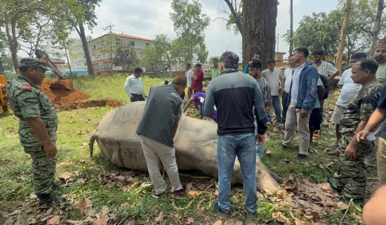 सन्त नेताका वैरागी अनुयायी
