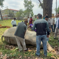 सेन्सर बोर्डको सदस्यमा पण्डित नियुक्त