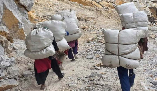 कुन्चा सर्न भारतको बाटो