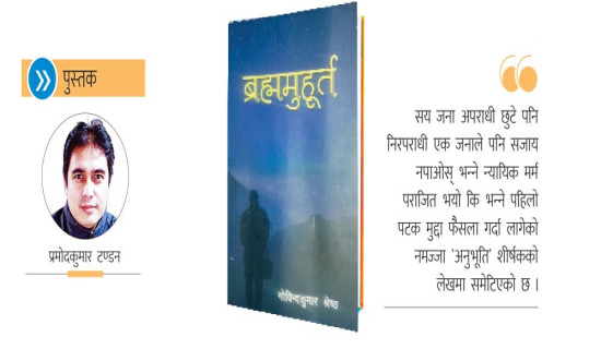 निजामती सेवा विधेयकको प्रतिवेदनमा त्रुटि : प्रतिवेदन लेखन धमाधम