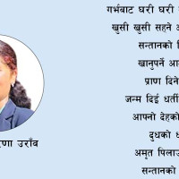 अतिक्रमित जमिनमा उद्योग र पक्की संरचना
