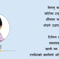 अतिक्रमित जमिनमा उद्योग र पक्की संरचना