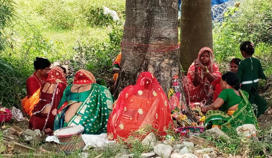 पतिको दीर्घायुका लागि बर्साइत पर्व धुमधामका साथ मनाइँदै