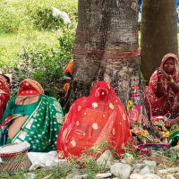 ५६ लाखको अवैध भेपसहित सात पक्राउ