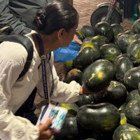 ताप्लेजुङमा बुधबार पनि बन्दको घोषणा