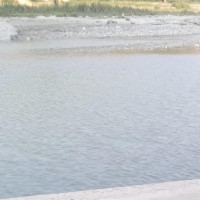 ‘दलीय राजनीतिभन्दा माथि उठौँ’