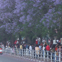 बङ्गलादेशमा आक्रमण गर्ने धम्की दिँदै हिँड्ने पूर्वसैनिक पक्राउ