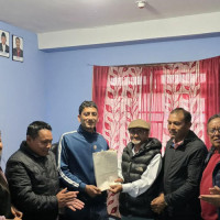 जाकाराण्डाको आकर्षण