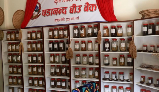 बीउ बैंकमार्फत रैथाने बाली संरक्षणमा जुट्दै ‘षडानन्द’