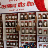 बन्दा बजार पठाउने तयारी
