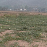 अपाङ्गता भएका नागरिकका लागि 'नमुना बस्ती' बनाउने प्रतिबद्धता