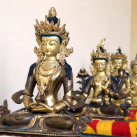 अलैँचीका बोट मासिँदै, मूल्य वृद्धि हुँदै