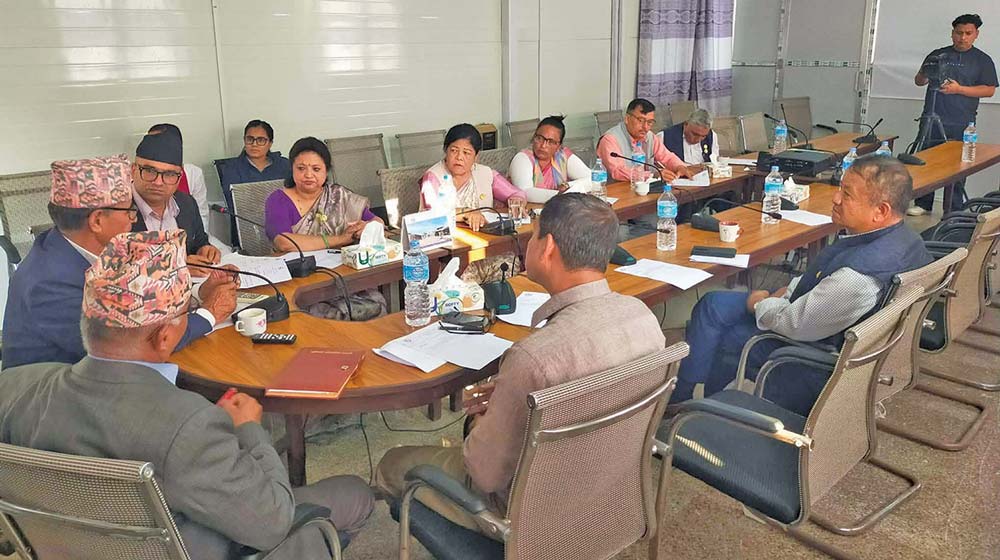 योजनाको प्रगति पेस गर्न निर्देशन
