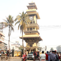 कैलालीमा वन मासिने क्रम बर्सेनि बढ्दै